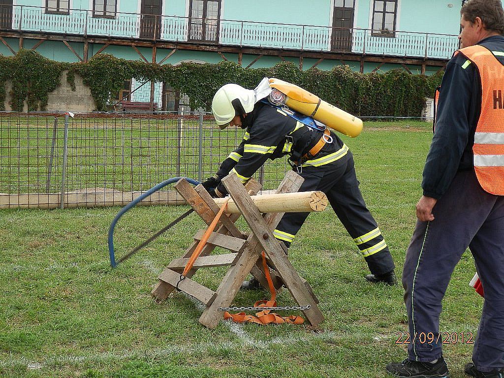 TFA v uplynulém roce